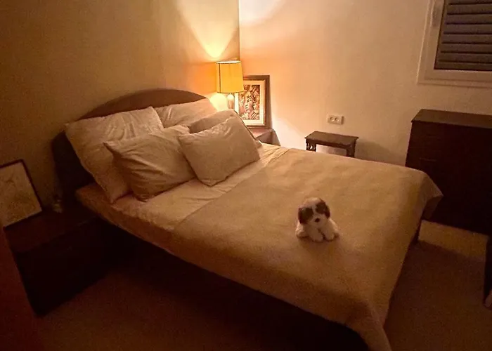 A Room In A Modern Apartment Near The Belinson Schneider Hospital And The Red Line To Tel Aviv